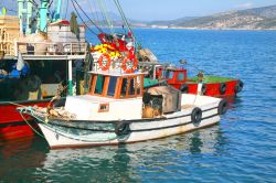 Pescherecci ormeggiati a Kusadasi, Turchia - L'antica tradizione legata alla pesca continua ancora oggi ad essere una delle grandi risorse economiche, assieme al turismo, di questa località ...