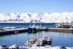 Pescherecci ormeggiati nel porto di Husavik e, sullo sfondo, le montagne innevate. Siamo nel nord dell'Islanda, a circa 463 km da Reykjavik.
