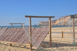 Pesci ad essiccare sulla spiaggia di Nazaré in Portogallo.