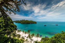 La Spiaggia Azzurra all'Ang Thong National Marine Park, Thailandia. Questo paradiso terrestre ospita un'ampia flora e fauna con scimmie, gatti selvatici, rettili, varani e anfibi. Le ...