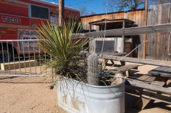 Piante grasse in vaso vicino alla cucina di Arlo's CurbSide a Austin (Texas). E' noto per i suoi panini, le patatine fritte e lo "street food" - © Philip Arno Photography ...