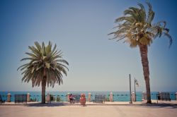 Piazza Angelo Scandaliato a Sciacca, Sicilia. Questa bella terrazza panoramica si affaccia sul mare e rappresenta la piazza per eccellenza della cittadina. Vi si affacciano il Palazzo Municipale ...