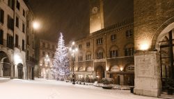 Piazza dei Signori durante una fitta nevicata nel periodo del Natale a Treviso in Veneto - © PiercarloAbate / Shutterstock.com