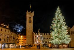 La suggestiva Piazza del Duomo di Trento a Natale con lo splendido albero addobbato - ©  foto M. Miori