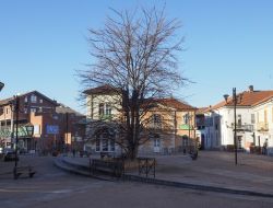 Piazza Matteotti nel centro storico di Grugliasco in Piemonte - © Claudio Divizia / Shutterstock.com