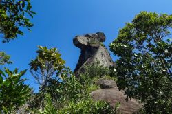 Pico do Papagaio, uno dei monti sull'Ilha Grande a Rio de Janeiro, Brasile. L'isola è prevalentemente montuosa e fra i picchi più alti vi sono il Pico da Pedra d'Agua ...