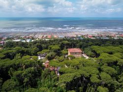 Pietrasanta, la Pineta e la spiaggia della sua Marina - © federico neri / Shutterstock