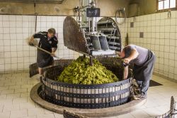 Pigiatura dell'uva con una vecchia pressa nel villaggio di Hautvillers, vicino a Reims e Epernay, regione dello Champagne (Francia) - © Daan Kloeg / Shutterstock.com