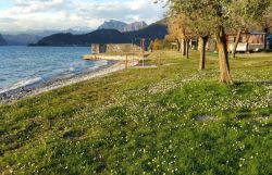 Pilzone (Lombardia): il campeggio sul Lago d'Iseo 