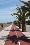 Pista ciclabile e passeggiata con palme nella cittadina di Esposende, Portogallo.

