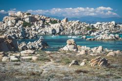 Un pittoresco scorcio dell'isola di Lavezzi, Corsica. Situata a 4 chilometri dal porto di Bonifacio, quest'isola è raggiungibile via barca con escursioni che partono la mattina ...