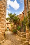 Un pittoresco vicolo nel centro storico di Montefioralle, provincia di Firenze, Toscana. Sui vicoli in pietra si affacciano case che si inerpicano per il borgo, vero e proprio gioiello immerso ...