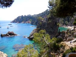 Platja Golfet, come suggerisce il nome, si trova protetta dai promontori che creano un piccolo golfo in questo tratto di Costa Brava, press Calella de Palafrugell.