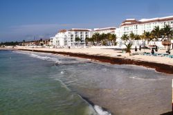 Playa del Carmen, destinazione turistica della penisola dello Yucatan, Messico. Siamo sulla Riviera Maya.

