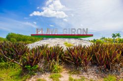Playa Giron nel Mare dei Caraibi, Cuba. Siamo in uno dei luoghi più suggestivi dei mari caraibici dove ai paesaggi naturali si mescola la proverbiale ospitalità della popolzione ...