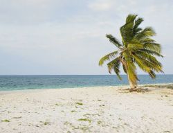 Playa Los Pinos a Cayo Sabinal, uno dei cayos che compongono l'arcipelago di Jardines del Rey. Siamo sulla costa aylantica della provincia di Camagüey, a Cuba.

