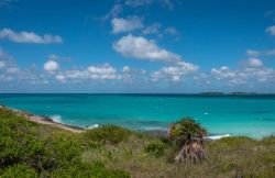 Un tratto di spiaggia nei pressi di Playa Pilar a Cayo Guillermo, nell'arcipelago di Jardines del Rey (Cuba).