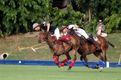 Partita di Polo sull'isola di Barbados, Caraibi - Fonte: Barbados Tourism Authority