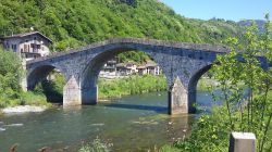 Ponte a schiena d'asino su un fiume in Val Masino, Lombardia.
