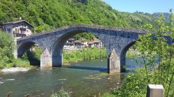 Ponte a schiena d'asino su un fiume in Val Masino, Lombardia.
