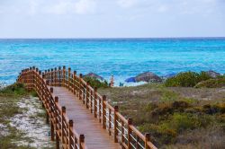 Ponte in legno e mare turchese a Cayo Largo, Cuba. Quest'isola è una delle 300 che costituisce l'arcipelago de Los Canarreos. Siamo a 180 km a sud di L'Avana.



