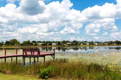 Pontile sulla palude di Orlando, Florida - L'area totale su cui si estende la città della Florida è di  circa 260 chilometri quadrati: 242 su terra ferma e 19 di specchi ...