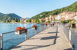 Porto Ceresio, Varese, con la sua bella passeggiata: da qui si possono ammirare splendidi scorci paesaggistici di questo borgo definito uno dei più belli del nostro paese - © elesi ...
