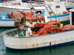 Porto di Oneglia, Imperia: un pescatore sistema le reti sulla sua barca - © Mor65_Mauro Piccardi / Shutterstock.com