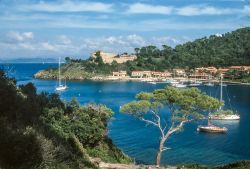 Il pittoresco porticcolo di Port Cros, Costa Azzurra, Francia. Quest'isola francese del Mar Mediterraneo deve il proprio nome al piccolo porto che si trova sull'isola che ha si presenta ...
