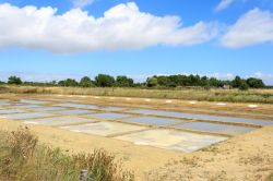 Pozze di acqua salata in essicazione sull'isola d'Oleron, Francia.


