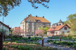 Primavera nel parco Tradgardsforeningen a Linkoping, Svezia. 
