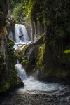 Il cosiddetto Puente de Dios è un'area naturale nel Municipio di Tamasopo, nella Huasteca Potosina, fatta di grotte, cascate e pozze dove fare il bagno. Siamo nello stato di San Luis ...