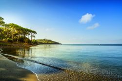 Punta Ala (Toscana): una bella veduta della pineta e della spiaggia lambita dalle acque del Tirreno al calar del sole.



