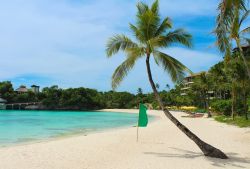 La sabbia chiara e le palme di Punta Bunga Beach, nell'estremo nord-ovest dell'isola di Boracay (Filippine) - foto © Elena Serebryakova / Shutterstock.com