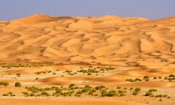 Un wadi nel Rub al-Khali o "Quarto vuoto". A cavallo tra Oman, Arabia Saudita, Emirati Arabi Uniti e Yemen , questo è il più grande deserto di sabbia in tutto il mondo. - ...