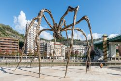 Il famoso ragno di Louis Bourgeois, scultrice francese che realizzò questa opera nintitolata "Maman" , posizionata fuori dal Guggenheilm Museum di Bilbao (Spagna) - foto ...