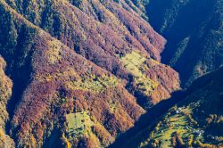 Rasura all'imbocco della Valgerola in Valtellina, Lombardia