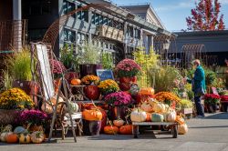 Ravenna Gardens Store allo University Village di Seattle, Washington - © CL Shebley / Shutterstock.com