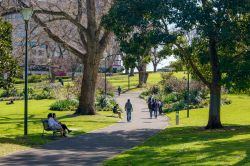 Relax nei Flagstaff Gardens a Melbourne, Australia. Fondato nel 1862, è il più antico parco verde della città. E' una delle aree naturali più frequentate dagli ...