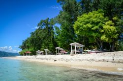 Relax sotto gli alberi verdi sulla spiaggia di Gili Islands nei pressi di Lombok, Indonesia. Lombok è nota soprattutto per le sue distese di sabbia e per il surf in particolare a Kuta ...