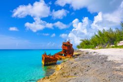 Il relitto di una nave vicino a una spiaggia di Bimini, Bahamas. E' solo una delle tante navi naufragate lungo le coste di Bimini nel corso dei secoli. Anche per questo snorkeling e immersioni ...