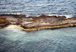 resto di una antica barriera corallina a Berry Island, Bahamas