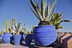 Vasi sulla terrazza del riad Ayadina a Marrakech, Marocco - Ad impreziosire questo lussuoso palazzo del 19° secolo, situato spalla a spalla con i bastioni della medina di Marrakech, c'è ...