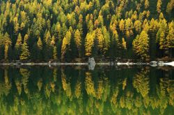 Riflessi autunnali sulle sponde del Lago di Braies, sulle Dolomiti in Alto Adige - © RomanSlavik.com / Shutterstock.com