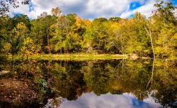 Riflessi di alberi e vegetazione nelle acque del fiume Eno a Durham, Carolina del Nord. Questo bel parco verde si trova a poche miglia dalla Duke University.

