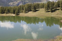Riflessi di alberi in un lago verde a Verres, Valle d'Aosta - © fotosullenuvole / Shutterstock.com