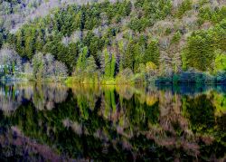 Riflessi in autunno sul Lago Piccolo di Monticchio - © Gianluca Foto/ Shutterstock.com