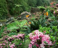 La rigogliosa vegetazione fiorita sull'isola di Sao Miguel nelle Azzorre, Portogallo - © 86878591 / Shutterstock.com