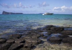 Isola di Coin de Mire a Mauritius - Circa 8 chilometri al largo di Cap Malheureux si trova un grande scoglio disabitato caratterizzato da rocce a strapiombo sulle acque dell'oceano Indiano: ...