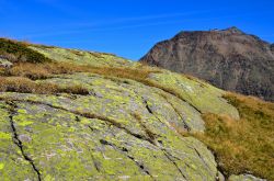 Rocce con licheni in Val Senales, Trentino Alto Adige. Derivati dall'associazione fra un'alga e un fungo, i licheni sono caratterizzati da un tallo, che in botanica indica il corpo vegetativo ...